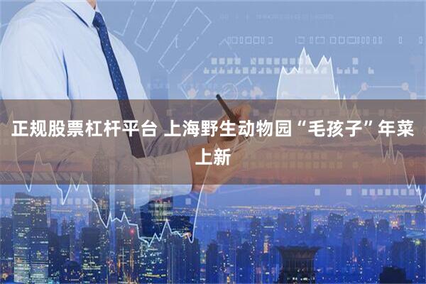正规股票杠杆平台 上海野生动物园“毛孩子”年菜上新