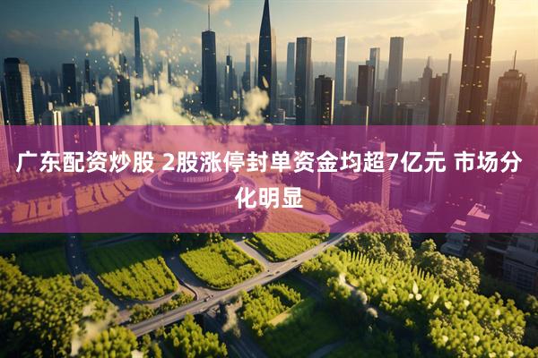 广东配资炒股 2股涨停封单资金均超7亿元 市场分化明显